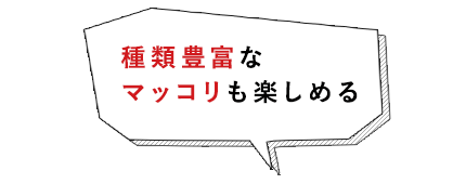 種類豊富なマッコリも楽しめる