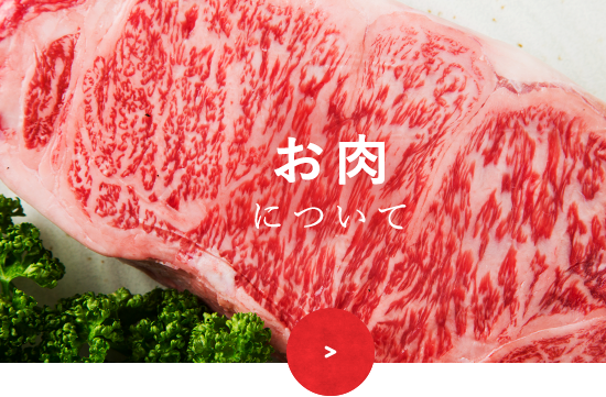 お肉について